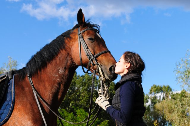ニュージーランドの魅力 乗馬