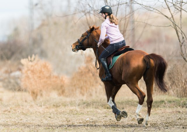 ファームステイで乗馬