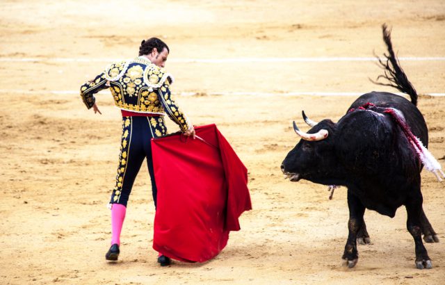 スペインでお稽古留学