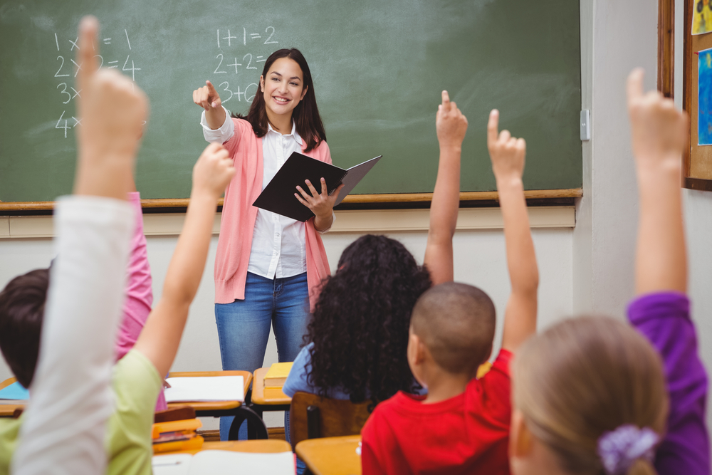 ニュージーランドで日本語教師アシスタント留学