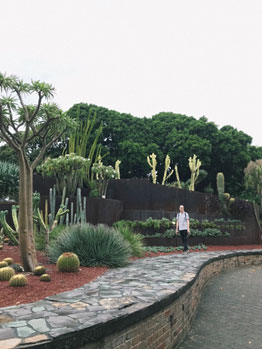 シドニーの王立植物園