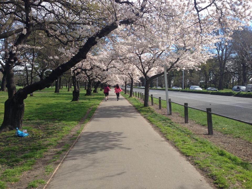 ニュージーランド クライストチャーチのハグレー公園