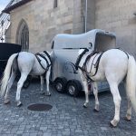 スイスでの長期留学ならシェアハウスがほとんど！同居人の決め方は？