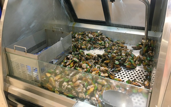 ニュージーランドで人気の貝 Mussel