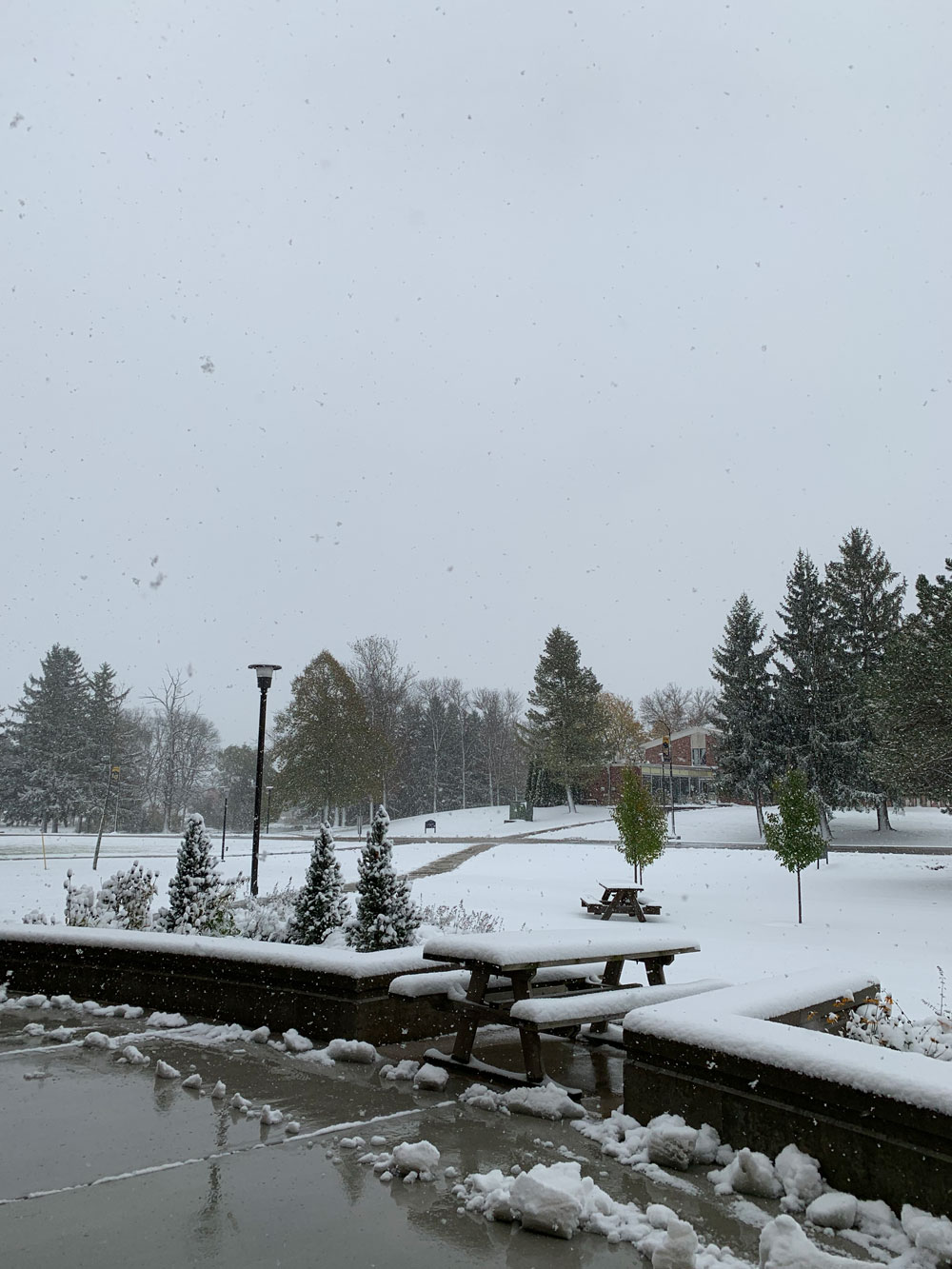 アメリカ ウィスコンシン州ではハロウィーンに初雪!?