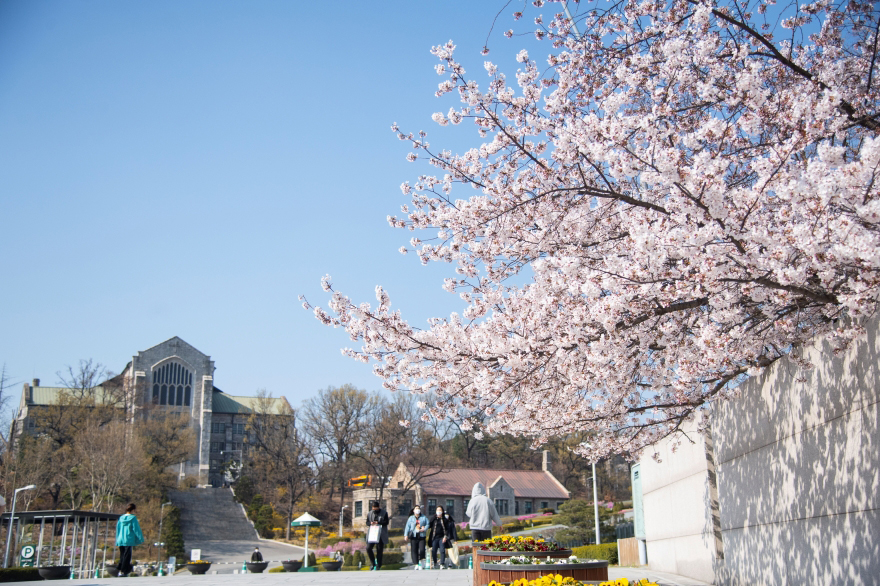 韓国の梨花女子大学