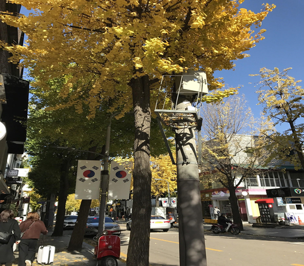 韓国留学