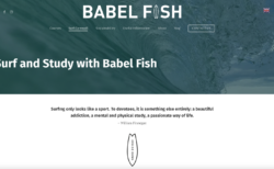 BABEL FISH（イギリス）サーフィン×語学留学ができる学校！