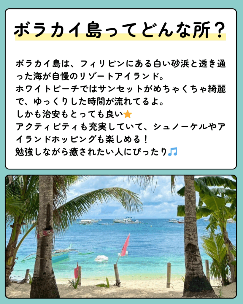 画像 ボラカイってどんなとこ